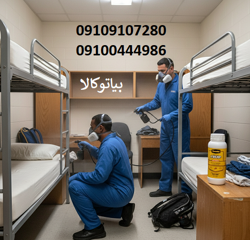 مقدمه و شناخت ساس و چرخه زندگی آن